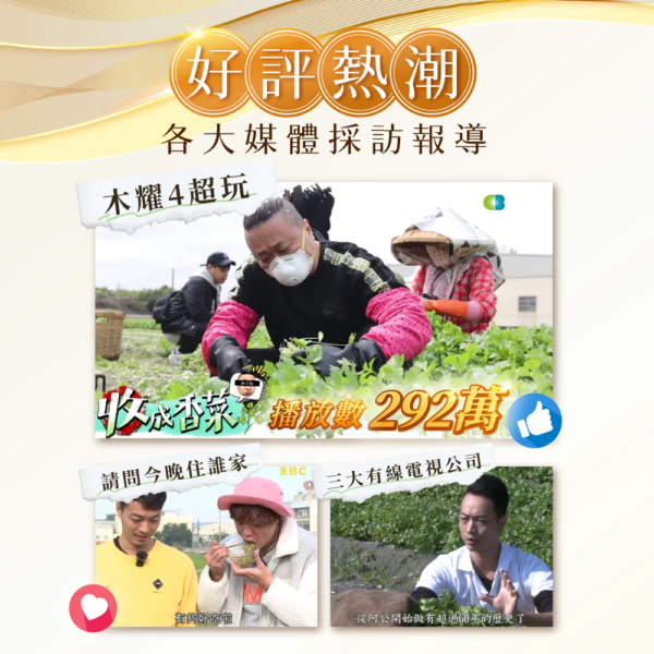 【香菜先生】香菜拌麵 古早擔仔味/椒麻/油蔥/麻油