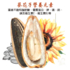 【豆仔兄】海鹽茴香瓜子 400g/包