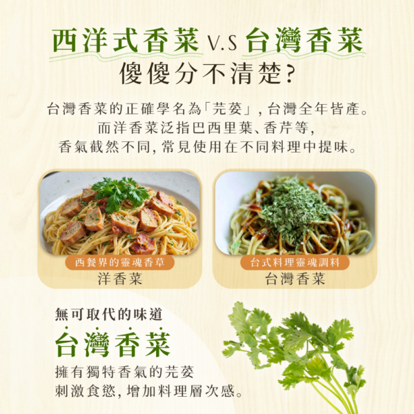 【香菜先生】香菜拌麵 古早擔仔味/椒麻/油蔥/麻油