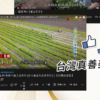 總代理【香菜先生】香菜末 120g