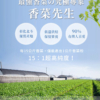 總代理【香菜先生】香菜末 120g