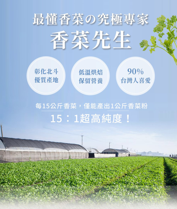 總代理【香菜先生】香菜末 120g
