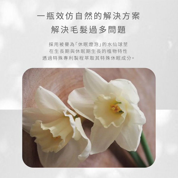 【MINI YANG】冬眠水仙抑毛噴霧 100ml