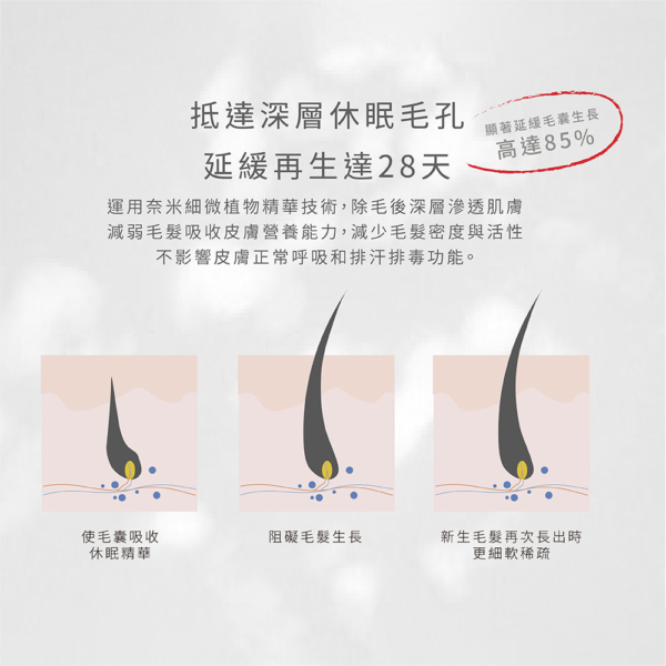 【MINI YANG】冬眠水仙抑毛噴霧 100ml