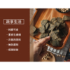 【HOYA】植物肉乾 50g/120g 全素可食