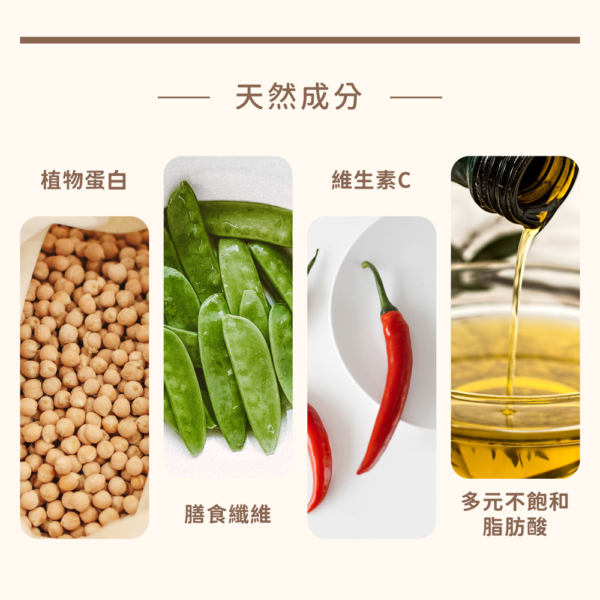 【HOYA】植物肉乾 50g/120g 全素可食