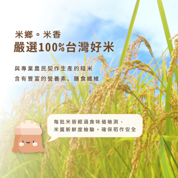 【郭老師】寶寶米餅 原味糙米/紅藜麥/紫米/綜合米果棒/地瓜球/菠菜球/三色米果球