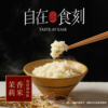 【自在食刻】蒟蒻米調和飯 黑莓果米/茉莉香米