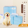 舊包裝【寵物星樂園】加厚款寵物尿布墊 S/M/L 顏色隨機出貨