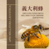 【依琦匠子】漢方草本蜂梨糖 原味/橙香/水蜜桃/羅漢果