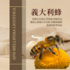 【依琦匠子】漢方草本蜂梨糖 原味/橙香/水蜜桃/羅漢果