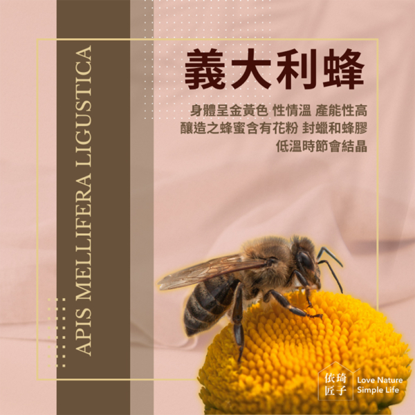 【依琦匠子】漢方草本蜂梨糖 原味/橙香/水蜜桃/羅漢果