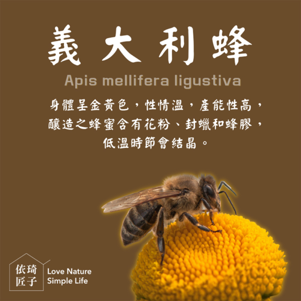 【依琦匠子】漢方草本蜂梨糖 原味/橙香/水蜜桃/羅漢果