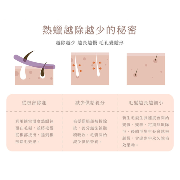 極致低痛女王蠟豆【MINI YANG】頂級全身蠟豆 良橙桔石 100g/500g