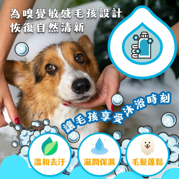 植萃純淨沐浴露 商品圖1 【臭味滾】植萃純淨沐浴露 500ml 除臭低敏 狗貓適用