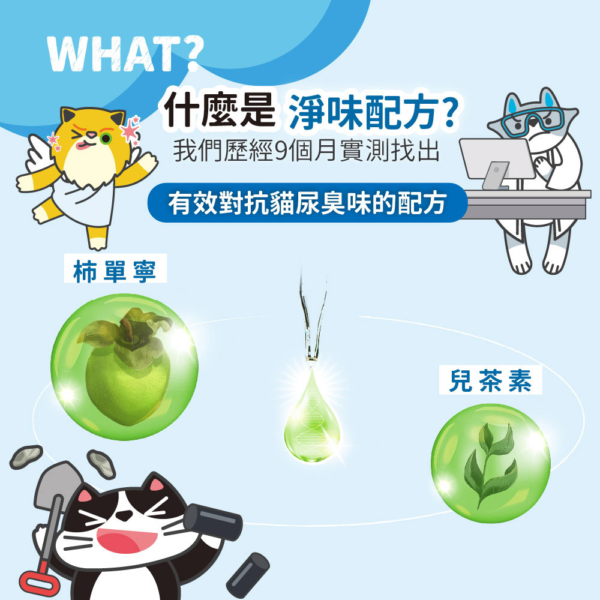 沛點炭 商品圖3 貓貓專用【臭味滾】沛點炭 80g 專利吸附 分解除臭 活性炭