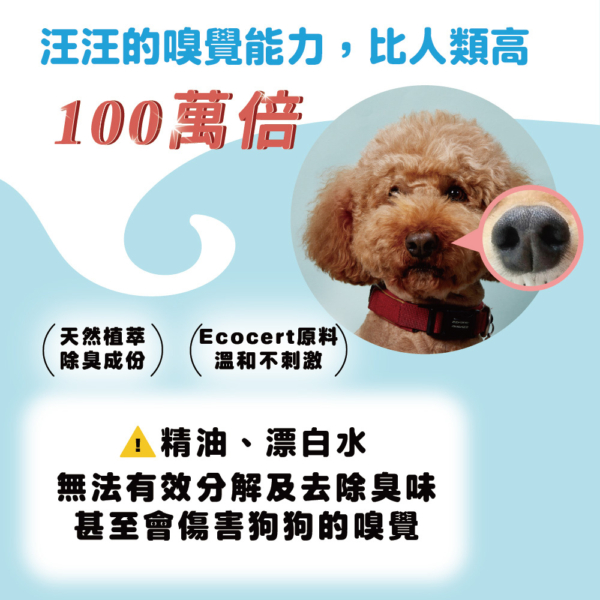 狗狗除臭噴霧(狗家庭適用) 商品圖2 狗狗專用【臭味滾】狗狗除臭噴霧 500ml 高效分解異味