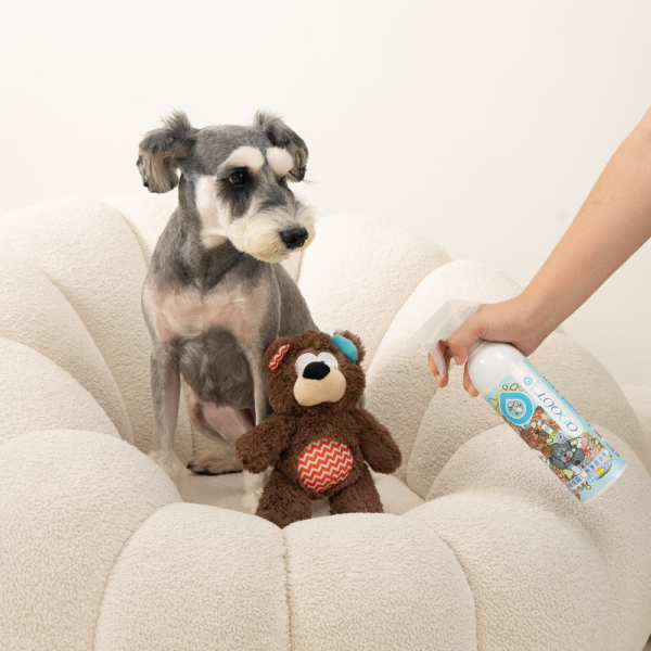 狗狗除臭噴霧(狗家庭適用) 商品圖5 狗狗專用【臭味滾】狗狗除臭噴霧 500ml 高效分解異味