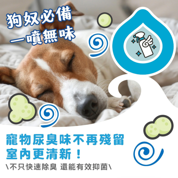 狗狗除臭噴霧(狗家庭適用) 首圖 狗狗專用【臭味滾】狗狗除臭噴霧 500ml 高效分解異味