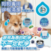 碗盤洗潔精(狗家庭適用) 首圖 狗狗專用【臭味滾】碗盤洗潔精 狗狗洗碗精 分解口水生物膜 輕鬆沖淨