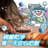 碗盤洗潔精(貓家庭適用) 商品圖3 貓貓專用【臭味滾】貓貓碗盤洗潔精 生食輕鬆沖淨