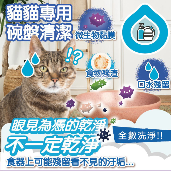碗盤洗潔精(貓家庭適用) 首圖 貓貓專用【臭味滾】貓貓碗盤洗潔精 生食輕鬆沖淨