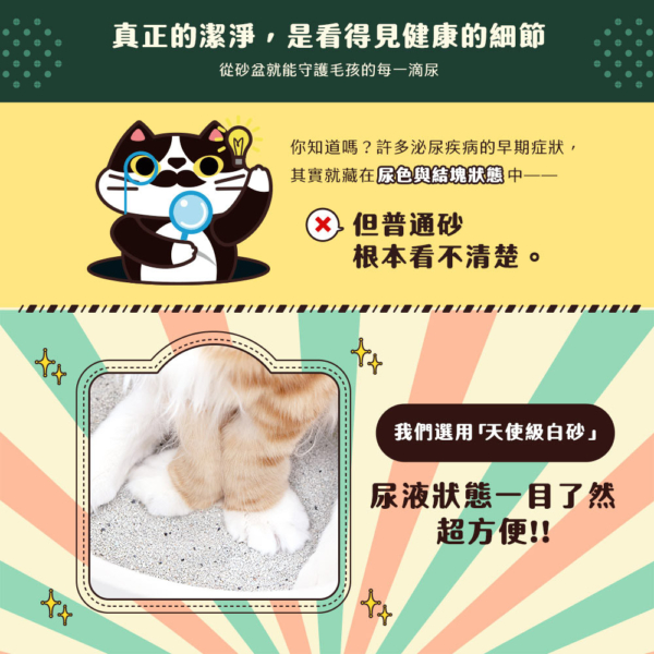 貓貓專用【臭味滾】黑沛鉑金天使礦砂 9kg 白砂觀測血尿 限宅配
